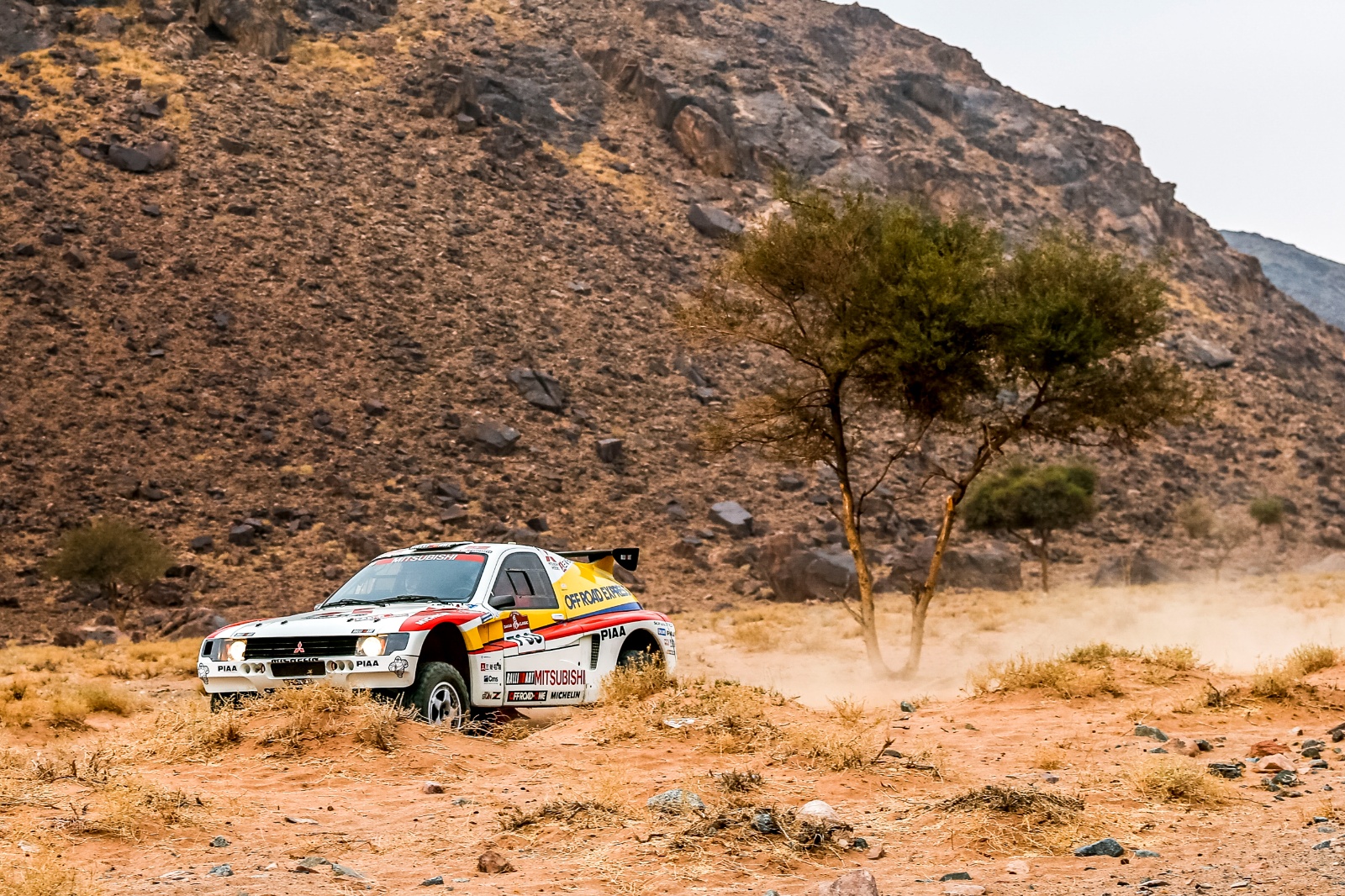 D00 733 DK22 viniciuscabral 0030063