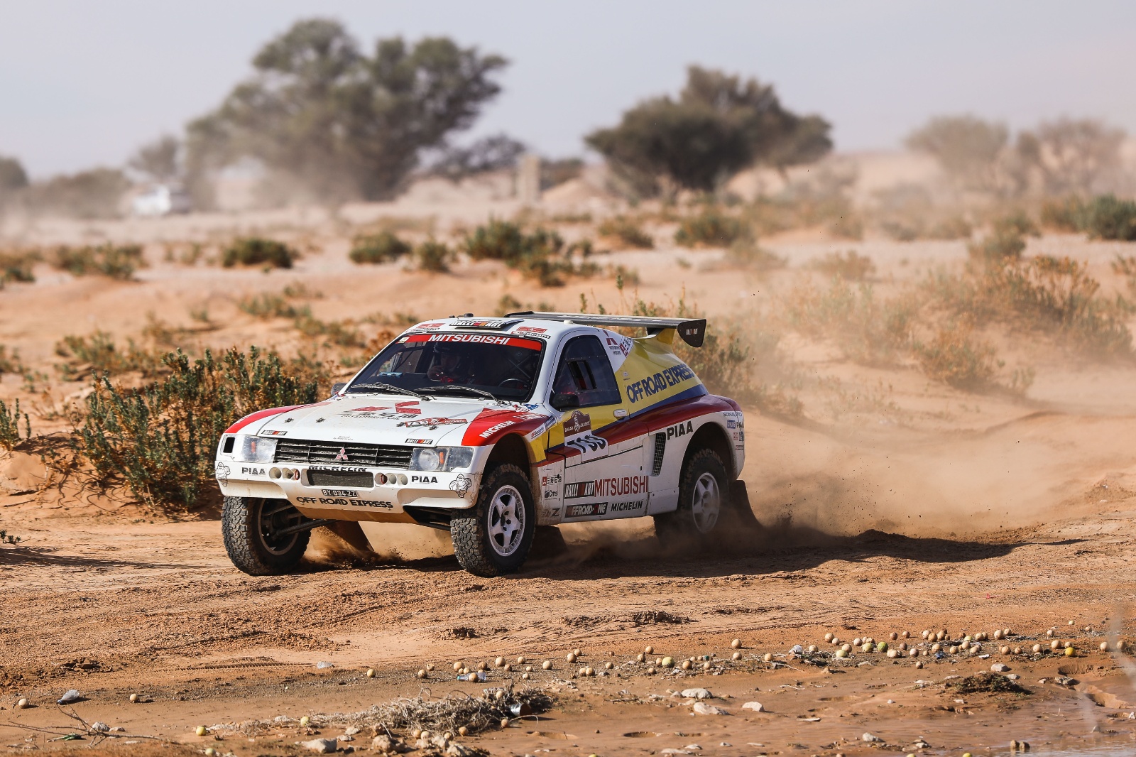 D06 733 DK22 viniciusbranca 060380