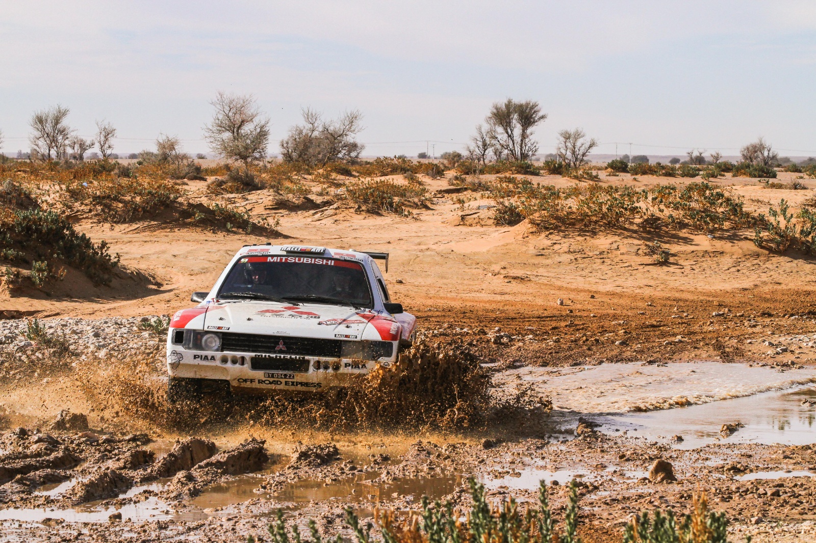 D06 733 DK22 viniciusbranca 060388