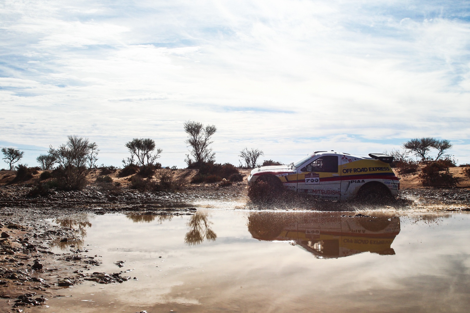 D06 733 DK22 viniciusbranca 060389