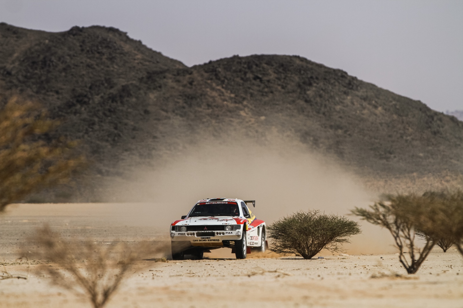 D09 733 DK22 viniciusbranca 090108