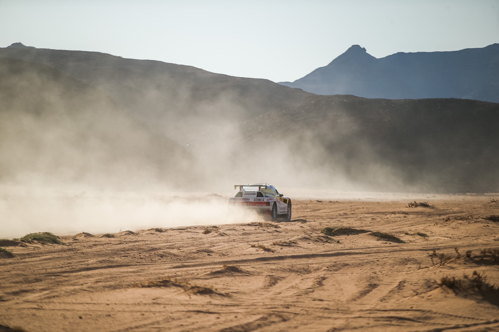 D10 733 DK22 ricardoleizer 100069